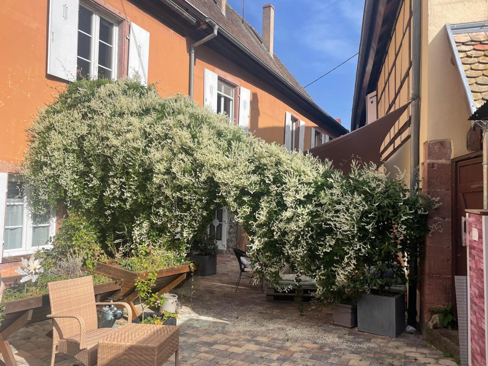 Caveau 1751 Niedermorschwihr 外观 照片