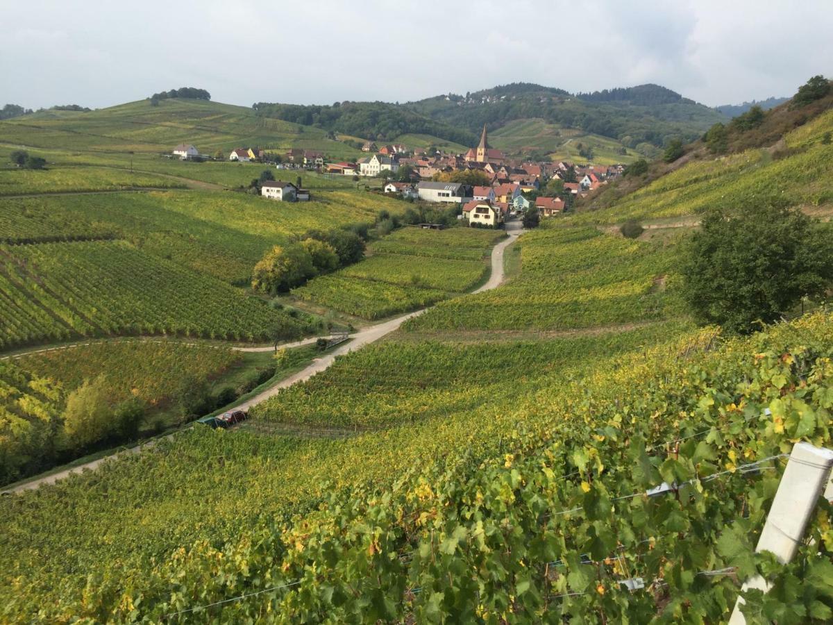 Caveau 1751 Niedermorschwihr 外观 照片